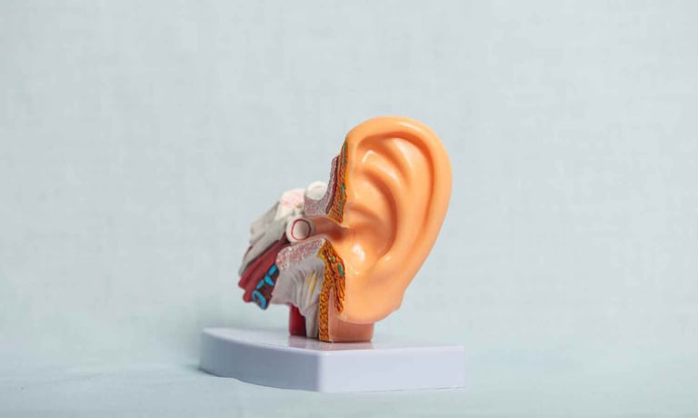 Treatable Hearing Loss Linked to Dementia Risk: Study Highlights Importance of Early Intervention