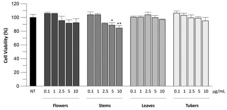 Rose and Asphodelus Extracts Show Promise in Natural Diabetes Management and Infection Prevention