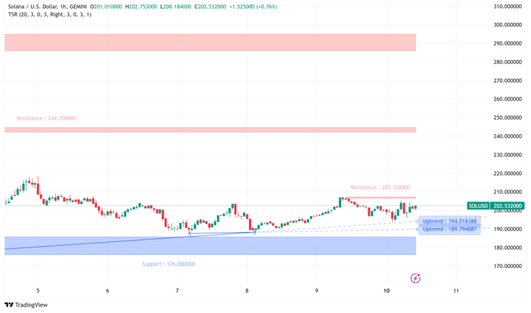 Solana Eyes Bullish Run as Price Holds Key Support, Trading Volume Surges Past Ethereum