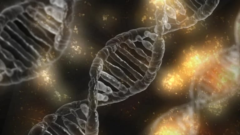 Breakthrough Study Links 36 Genes to OCD, Opens New Treatment Pathways