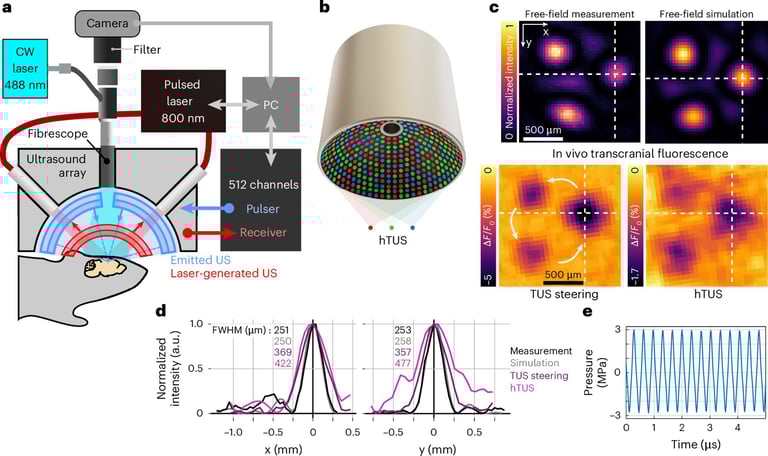 Revolutionary Ultrasound Technique Activates Brain Circuits Without Damage, Paving Way for Safer Neurological Treatments