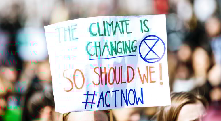 OECD Report: Aggressive Climate Action Can Supercharge Global Economy