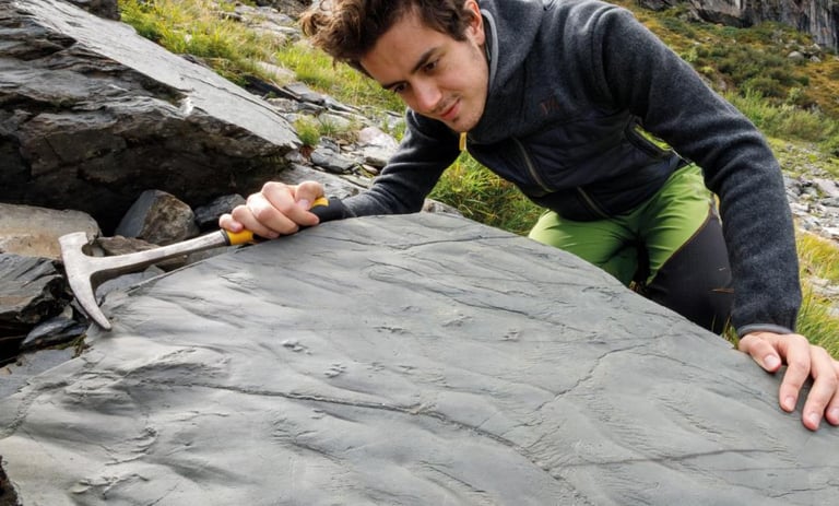 Hiker Unveils 280-Million-Year-Old Ecosystem in Italian Alps, Sparking Climate Change Insights