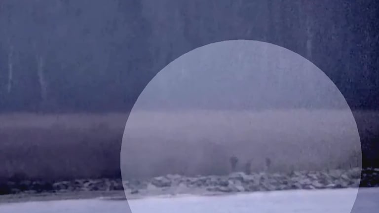 Russian Guards Cross Estonia Border in Tense Standoff; Estonia Demands Explanation