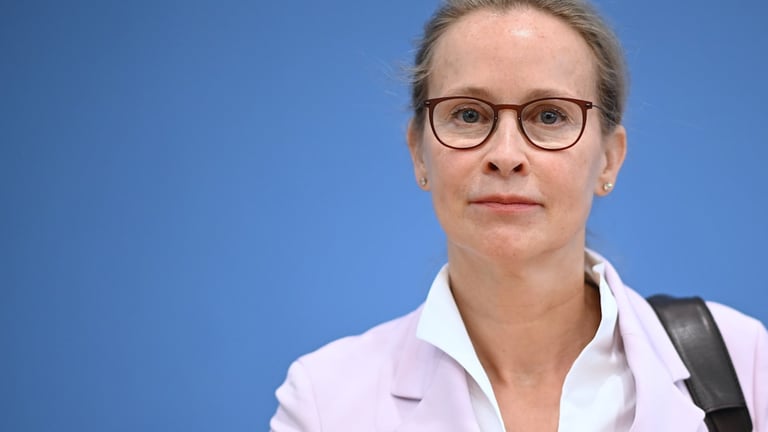 SPD's Brosius-Gersdorf Withdraws Court Nomination Amid CDU/CSU Opposition and Misinformation Concerns