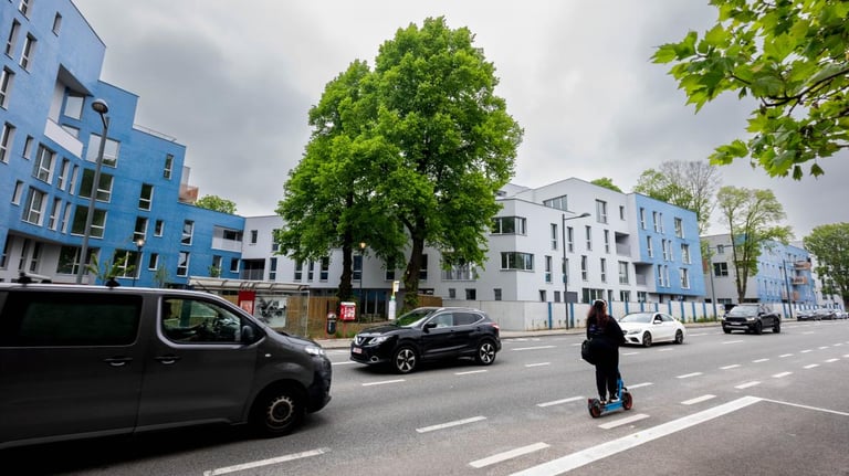 Brussels Social Housing Faces Default as Government Fails to Refinance SLRB