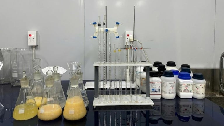 Critica Limited Achieves 10-Fold TREO Boost in Jupiter Project, Plans Pilot Plant Launch