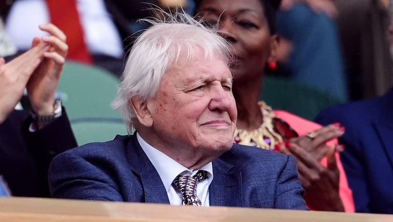 David Attenborough's Voice Cloned by AI Sparks Privacy and Copyright Concerns