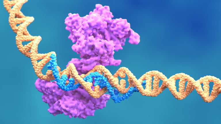 CRISPR Breakthrough: RNA-Guided Targeting of Mutant p53 Cancer Cells Shows Promise for Precision Medicine
