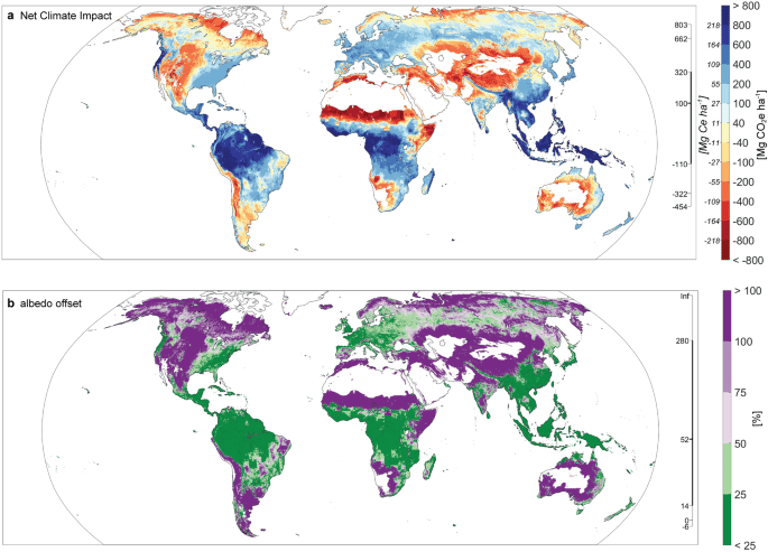 Study Reveals Potential Climate Pitfalls in Misguided Tree Planting Efforts