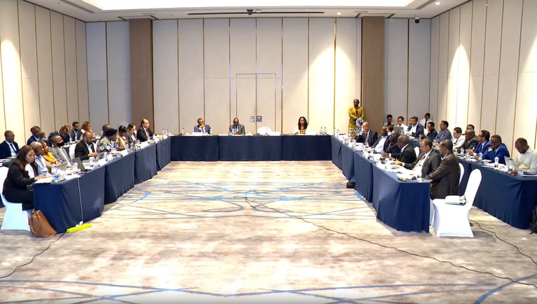 Africa Unites for Health Sovereignty: New Procurement Mechanism Boosts Local Pharma and Supply Chains