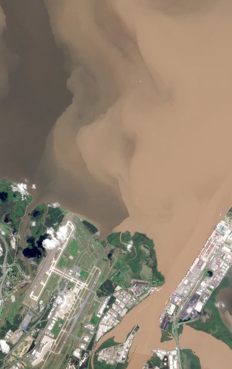 Moreton Bay's Ecosystem at Risk: 98% Covered in Mud, Microplastic Pollution Soars
