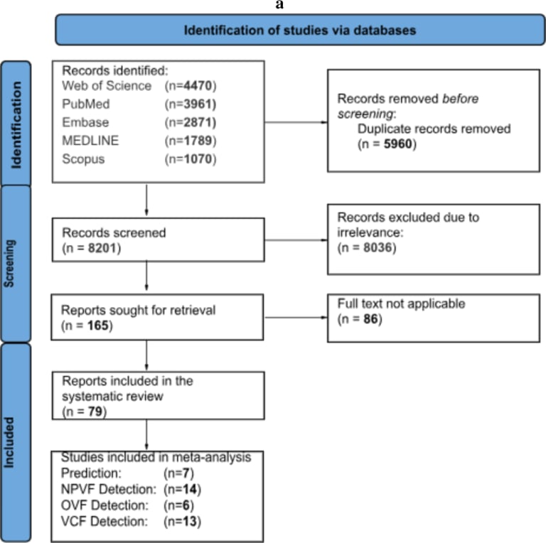 AI Breakthrough: Machine Learning Models Revolutionize Vertebral Fracture Prediction and Diagnosis