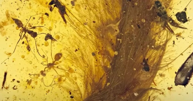 99-Million-Year-Old Feathered Dinosaur Tail Found in Amber: A 'Once-in-a-Lifetime' Discovery