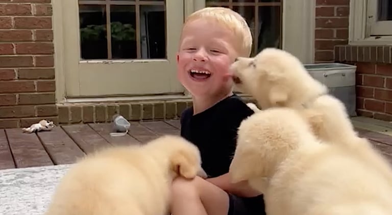 Laughter's Power: Boosting Child Development, Emotional Bonds, and Reducing Parental Stress