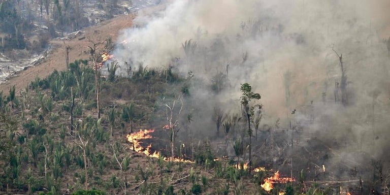 Brazil's 2024 Wildfires Surge: 79% Increase Devastates Amazon, Sparks Climate Crisis Concerns