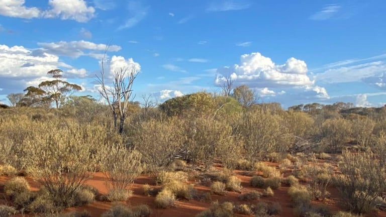 Western Mines Launches Major Seismic Survey to Unlock Nickel Sulfide Potential at Mulga Tank