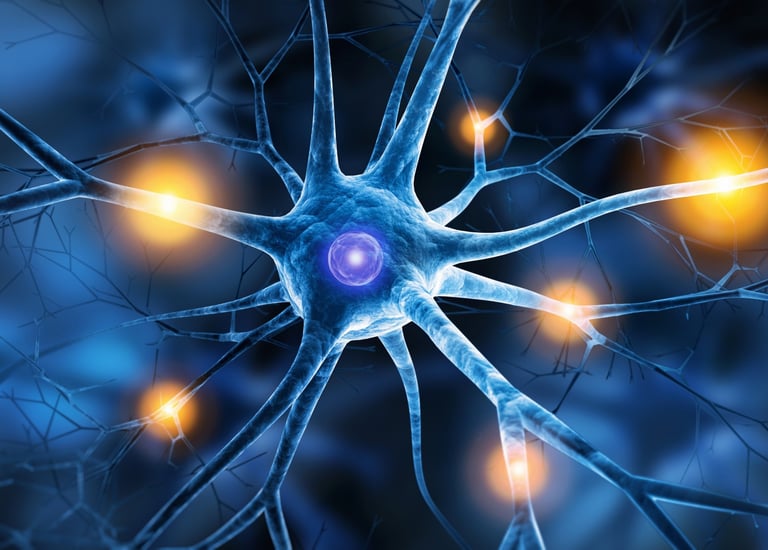 New Study Reveals Memory Circuits Start Crowded, Refine Through Pruning