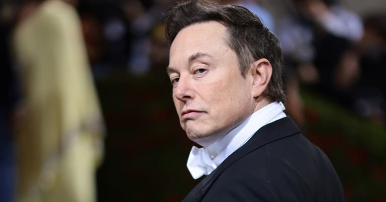 Fidelity's Stake in Musk's X Plummets 80% Amid Massive Advertiser Exodus and Controversies