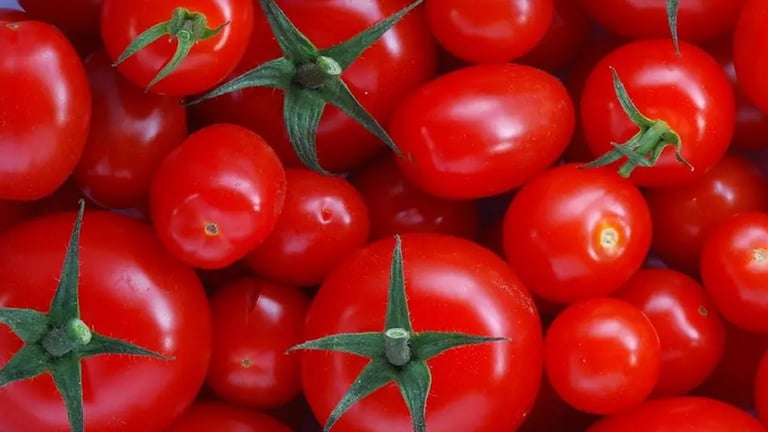 Gene Breakthrough Unlocks Larger, Tastier Tomatoes and Eggplants with Genome Mapping
