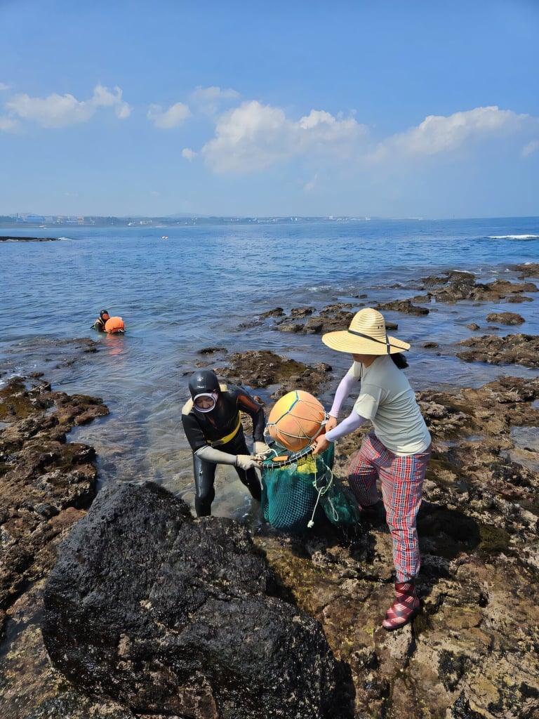 Haenyeo Divers' Unique Genetic Traits Offer Insights into Health and Resilience