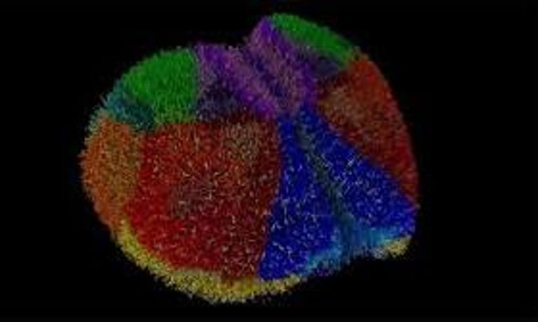 Revolutionary Virtual Mouse Cortex Model Paves Way for Groundbreaking Brain Research