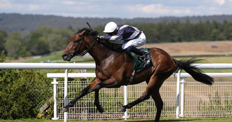 O'Brien Family Rivalry Heats Up as Enceladus Targets St Leger Glory
