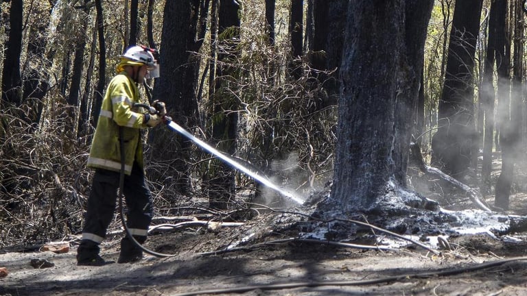 Perth Faces Severe Heat and Fire Threat: Total Fire Bans and Emergency Warnings Issued