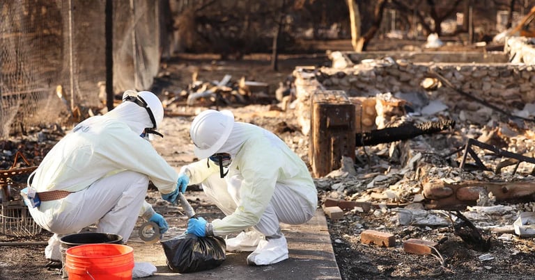 Wildfires in Los Angeles Cause 440 Excess Deaths: Study Highlights Health Risks