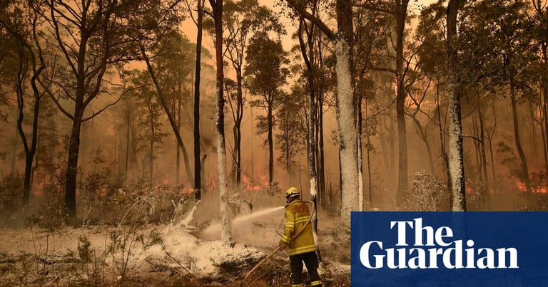 NSW Coroner Proposes 28 Firefighting Reforms Post Black Summer Inquiry