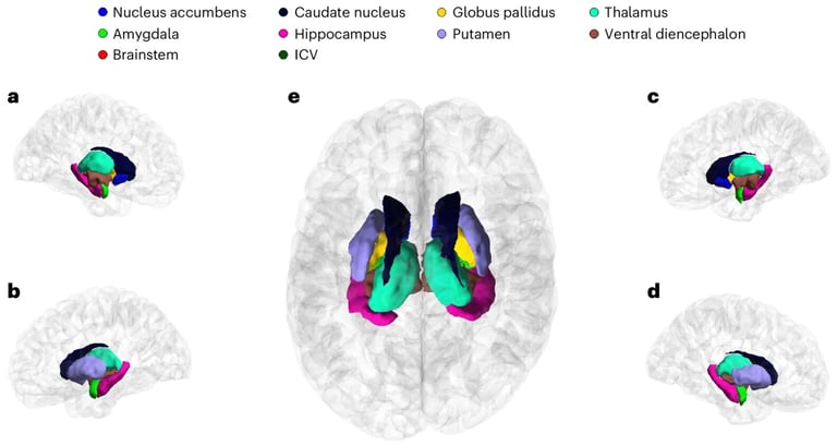 Global Study Unveils 254 Genetic Variants Linked to Brain Disorders like ADHD and Parkinson's