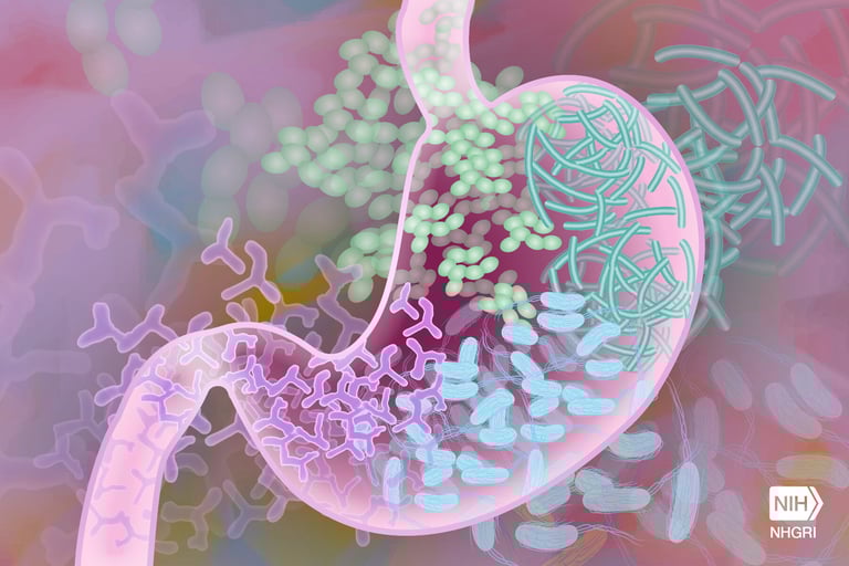Study Finds 25% of U.S. Infants Lack Essential Gut Bacteria, Raising Health Concerns