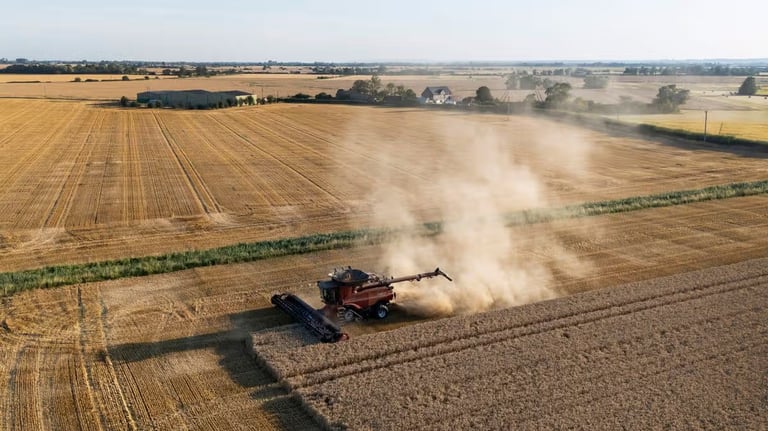 Britain Braces for Food Crises Amid Record Drought and Heatwaves, Urgent Calls for Government Action