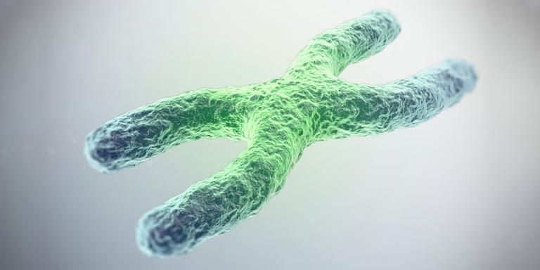 Hyperbaric Oxygen Therapy Reverses Biological Aging, Lengthens Telomeres in New Study