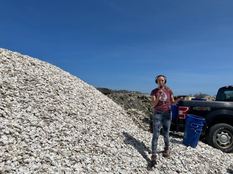 Nantucket's Oyster Reef Initiative: A Model for Global Shoreline Protection and Ecological Restoration