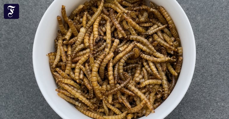 EU Approves UV-Treated Mealworm Powder for Foods, Faces Consumer Skepticism and Allergy Warnings
