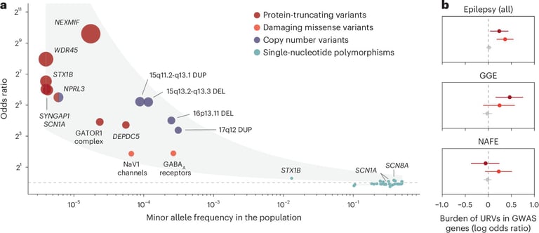 Breakthrough Genetic Study Unveils New Epilepsy Treatment Targets from Analysis of 54,000 Participants