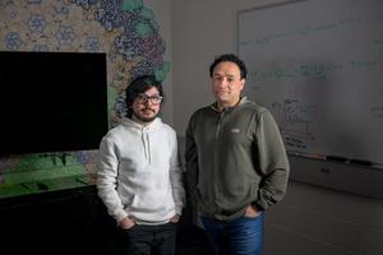 New Study Unveils HIV Integrase's Structural Role, Paving the Way for Advanced Therapeutic Targets