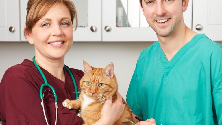 UK Watchdog Proposes Overhaul to Boost Transparency, Cut Costs in £6.3 Billion Veterinary Market