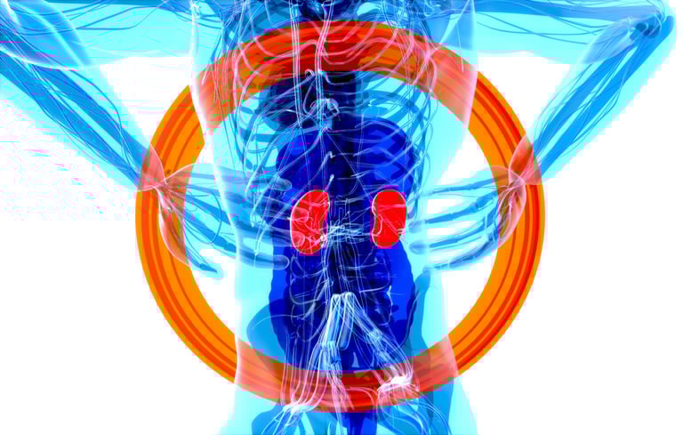 New eGFR Calculator Enhances Early Detection of Kidney Disease Risk