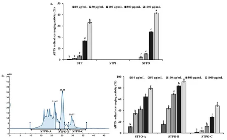 Breakthrough Fish Peptide Offers Hope for Atopic Dermatitis Relief and Waste Reduction