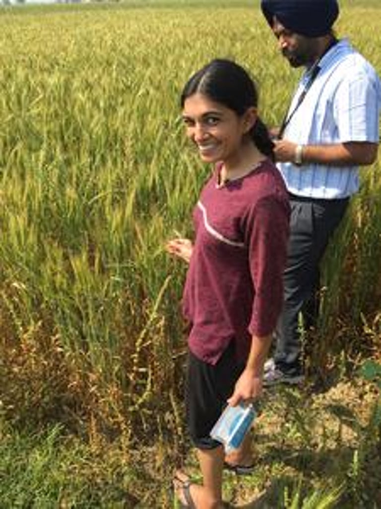Meha Jain Wins Inaugural ASU-Science Prize for Pioneering Satellite Research in Climate-Resilient Farming