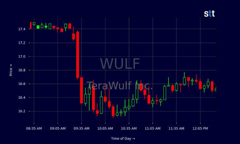 WULF Faces Uncertainty Amid NY Moratorium; Bitcoin Mining and AI Expansion Plans Under Pressure
