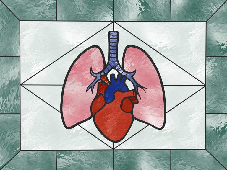Breakthrough in Cryopreservation: New Method Prevents Organ Cracking, Revolutionizing Transplant and Preservation