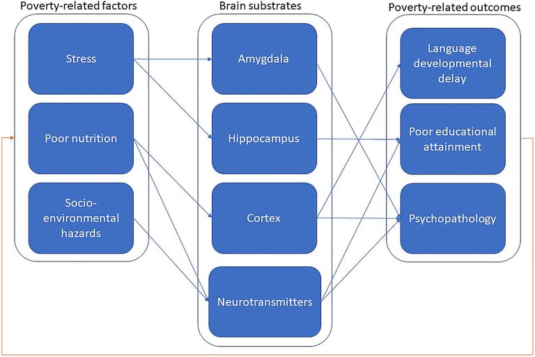 Study Links Poverty to Mental Health and Cognitive Impact, Calls for Holistic Interventions