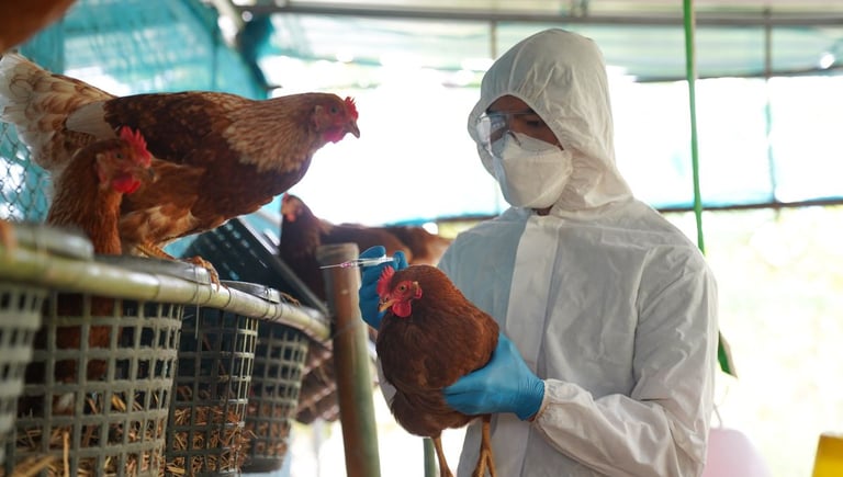 Breakthrough Nasal Spray Vaccine Offers New Hope Against H5N1 Bird Flu Pandemic Threat