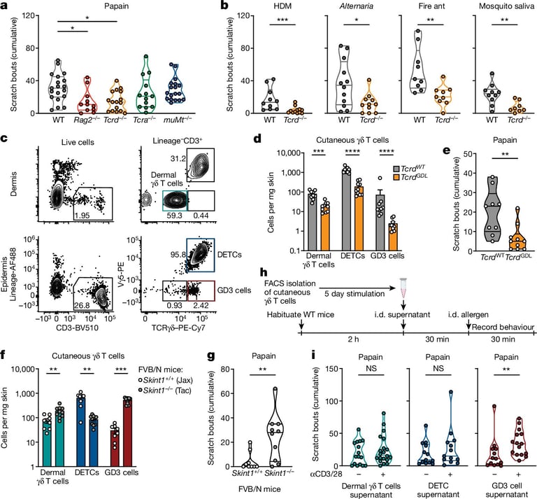 New Study Unveils Key Mechanism Behind Allergen-Induced Itch, Paving Way for Advanced Allergy Treatments