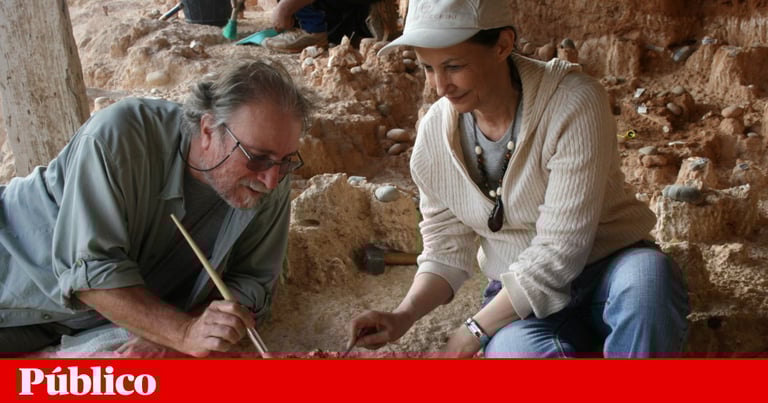 New Moroccan Fossils Reveal Key Insights into Early Human Evolution