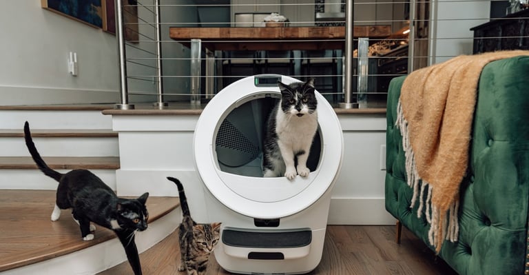 Whisker Unveils AI-Powered Litter Boxes with Facial Recognition, Advanced Tracking, and Health Monitoring