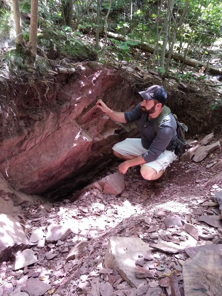 Lantern North Fossil Site Unveils Diverse 320-Million-Year-Old Ecosystem, Redefines Early Terrestrial Life Understanding